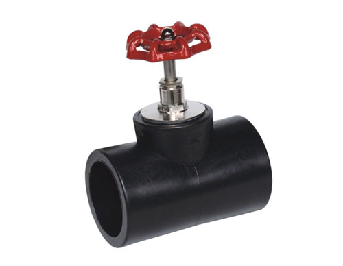 HDPE Lift Check Stop Valve