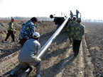 HDPE Drip irrigation pipe